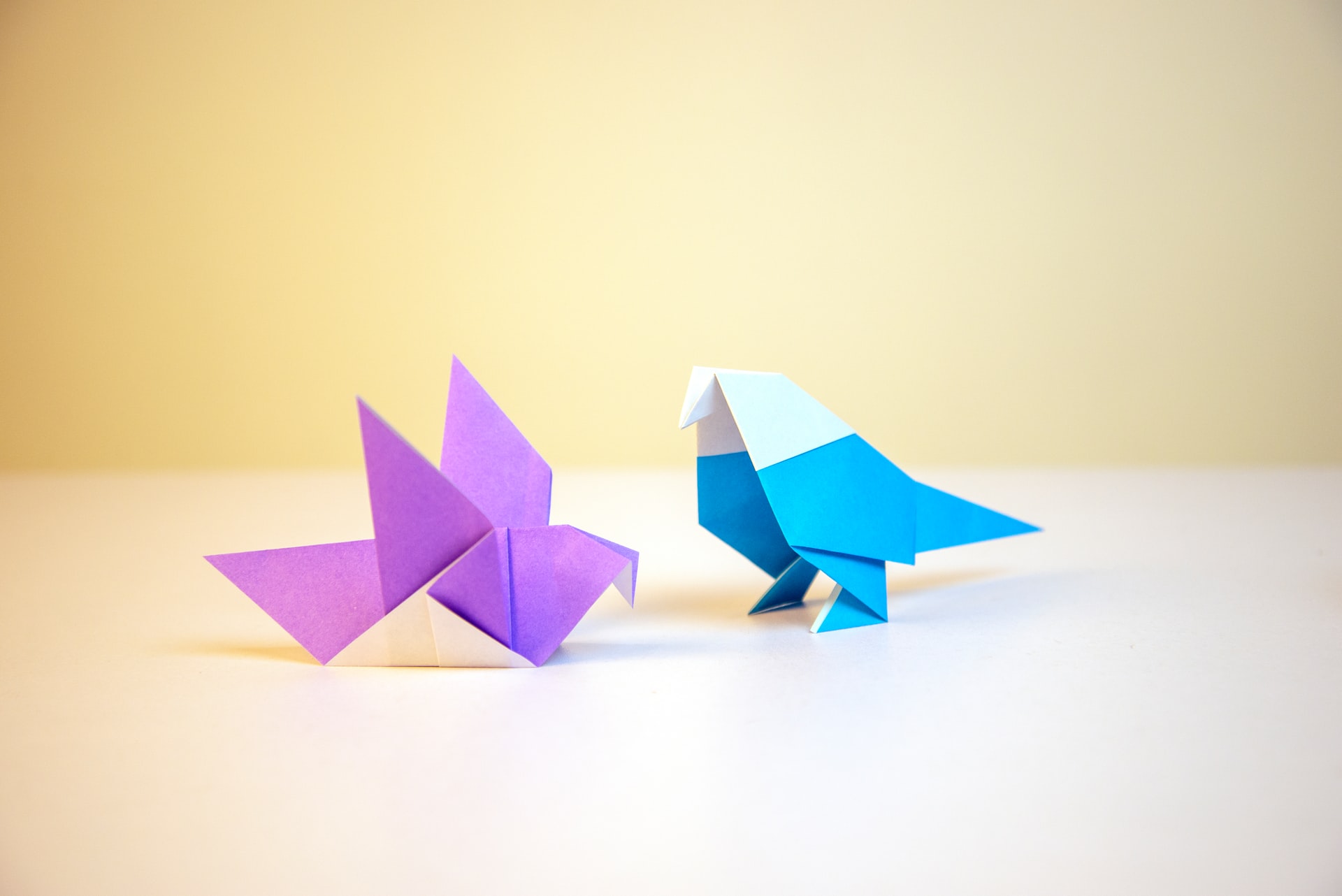 Origami & pliages
