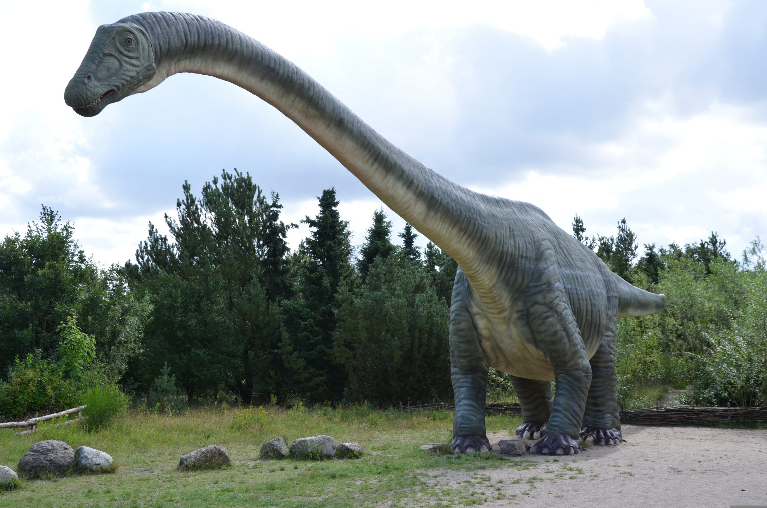 Sur les pas des Dinosaures
